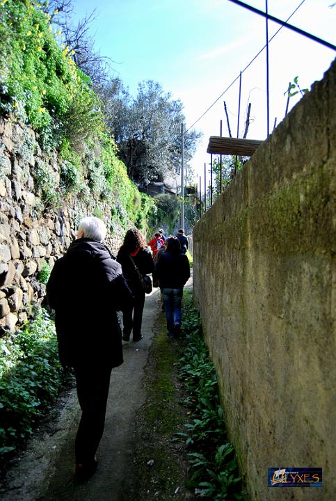 lungo il percorso.JPG